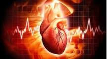 Corazon vibrando. como se crea la realidad